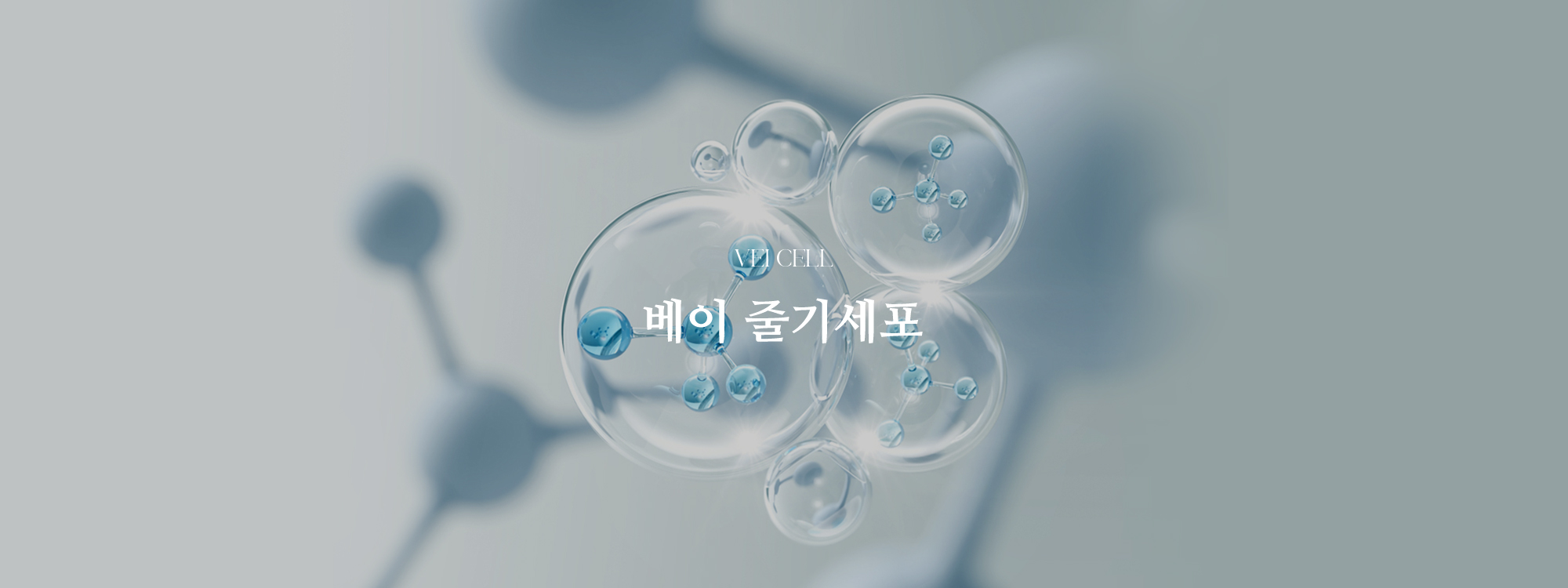 sub_1